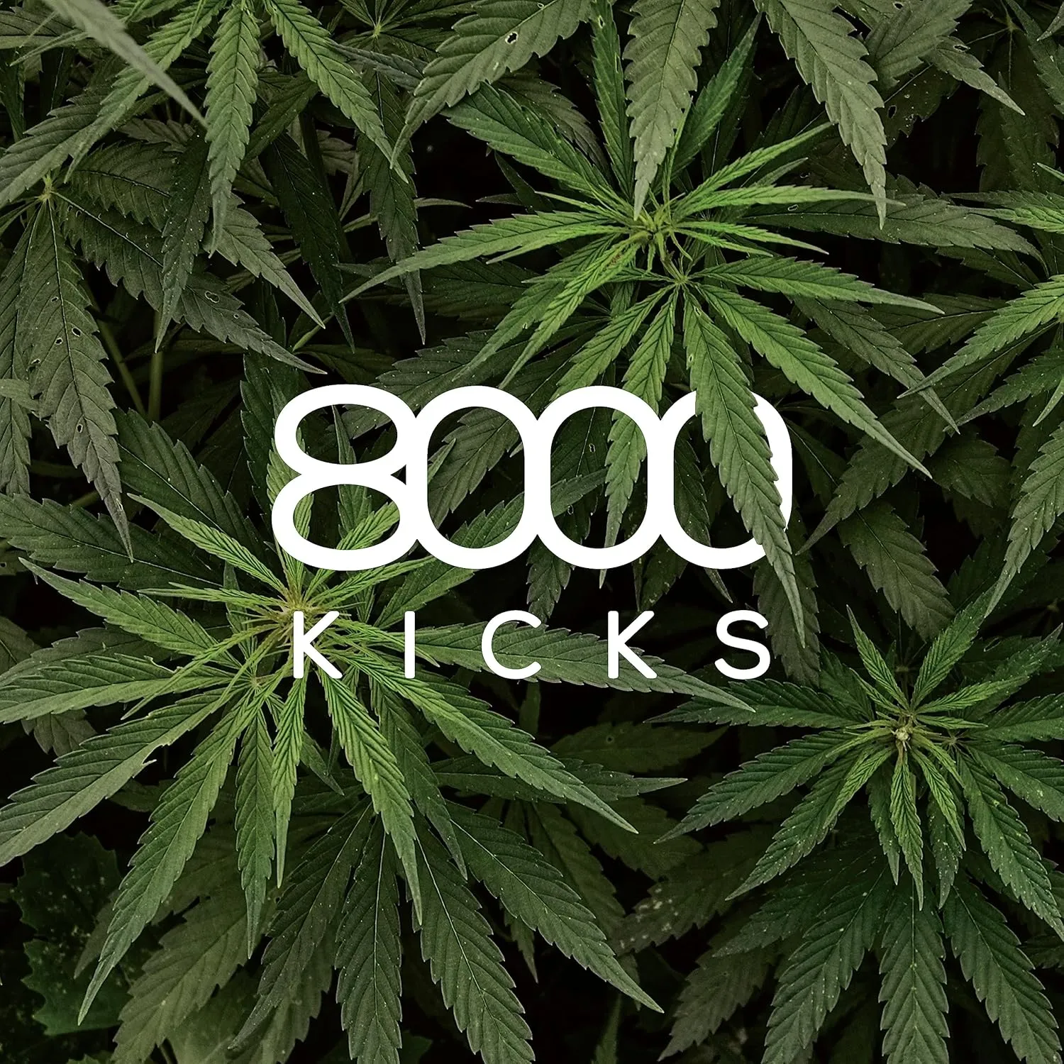 8000Kicks Explorer V2 Hemp Shoes for Men, Waterproof Sneakers for Hiking and Outdoor Activities, Breathable Durable and Comfortable Footwear with Supportive Sole, Sustainable Mens Sneakers